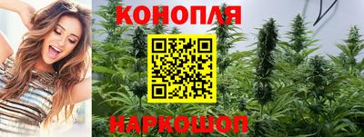 мяу мяу мука Набережные Челны